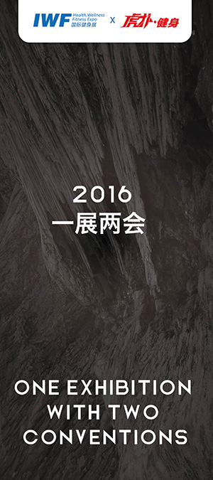 im电竞策略游戏指南